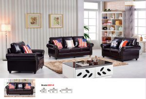 America Sofa, Combination Sofa, 1+2+3 Leather Sofa Furniture (8001)